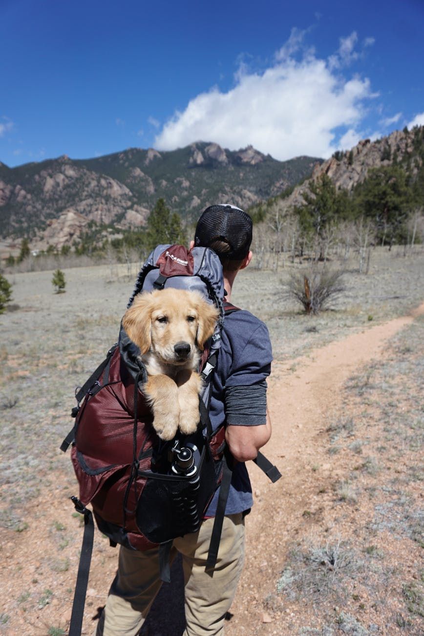 hiking backpacks, best backpacks 2025, backpack review, backpacks for hiking, comfortable backpacks, lightweight backpacks, durable backpacks, buying guide, outdoor gear, travel equipment