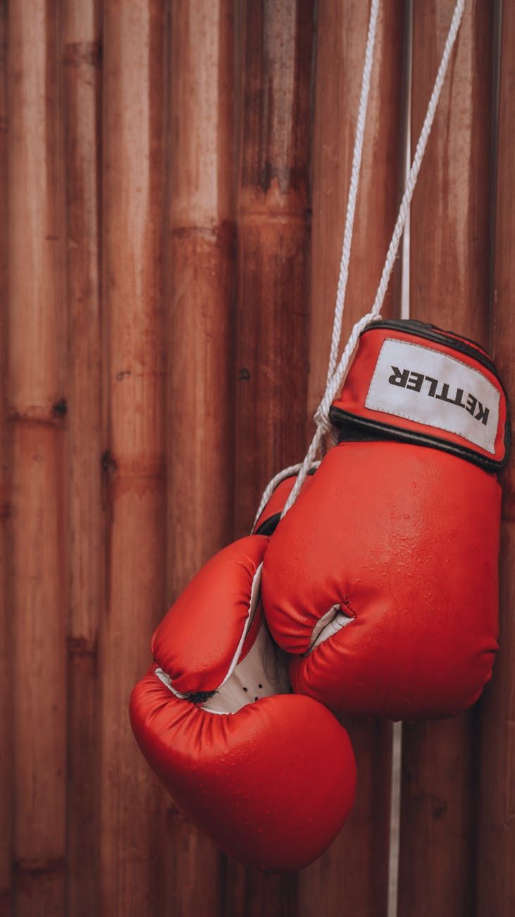 équipement de gants de boxe, meilleurs gants de boxe, gants de boxe Twins, gants de boxe pour femmes, gants de boxe Ringside, gants de boxe au Royaume-Uni, gants de boxe roses, gants de boxe d'entraînement, gants de boxe personnalisés, gants de boxe à lacets, gants de boxe pour hommes, gants de boxe professionnels, gants de boxe personnalisés, gants de boxe junior, meilleures marques de gants de boxe, gants de boxe rouges, tailles de gants de boxe, gants de boxe noirs, vente de gants de boxe, poids de gants de boxe, marques de gants de boxe, gants de boxe bleus, chaîne de gants de boxe, gants de boxe en cuir, gants de boxe Muay Thai, gants de boxe noirs et dorés, gants de boxe verts, gants de boxe d'entraînement, gants de boxe vintage, nettoyeur de gants de boxe, gants de boxe en magasin, ensemble de gants de boxe, gants de boxe pour débutants, logo de gants de boxe, poids de gants de boxe professionnel, gants de boxe bon marché, gants de boxe coûteux, gants de boxe en crin de cheval, gants de boxe rouges et noirs, guide des tailles pour gants de boxe