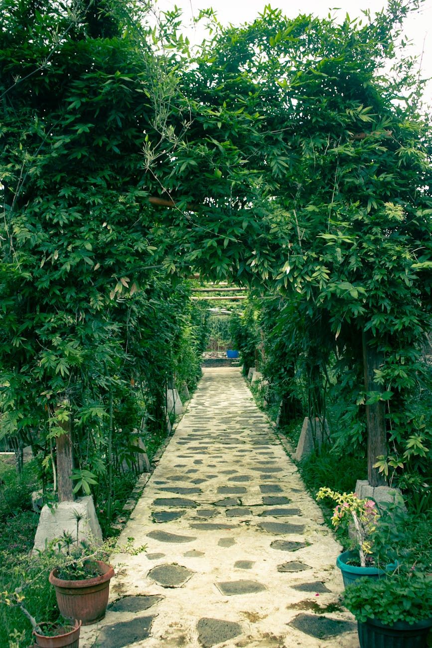 idées de chemins de jardin, chemins de jardin DIY, design de chemins extérieurs, solutions de chemins d'arrière-cour, chemin de jardin en gravier, idées de sentiers en pierre, chemins de jardin économiques, design de paysage moderne, projets de jardin faciles, chemins extérieurs décoratifs