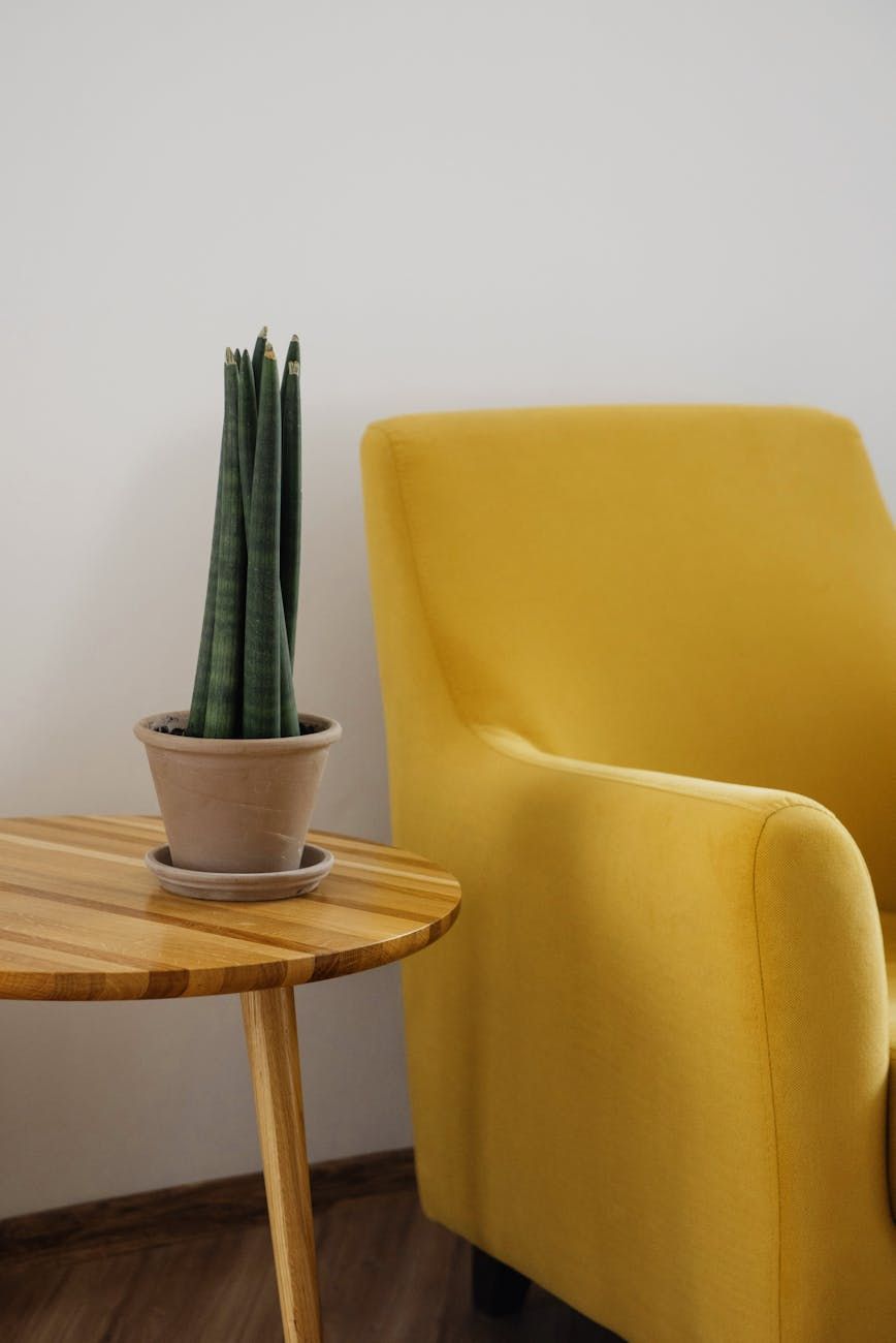 minimalisme, maksimalisme, møbeldesign, tendenser, interiør, stil, komfort, innovation, materialer, æstetik