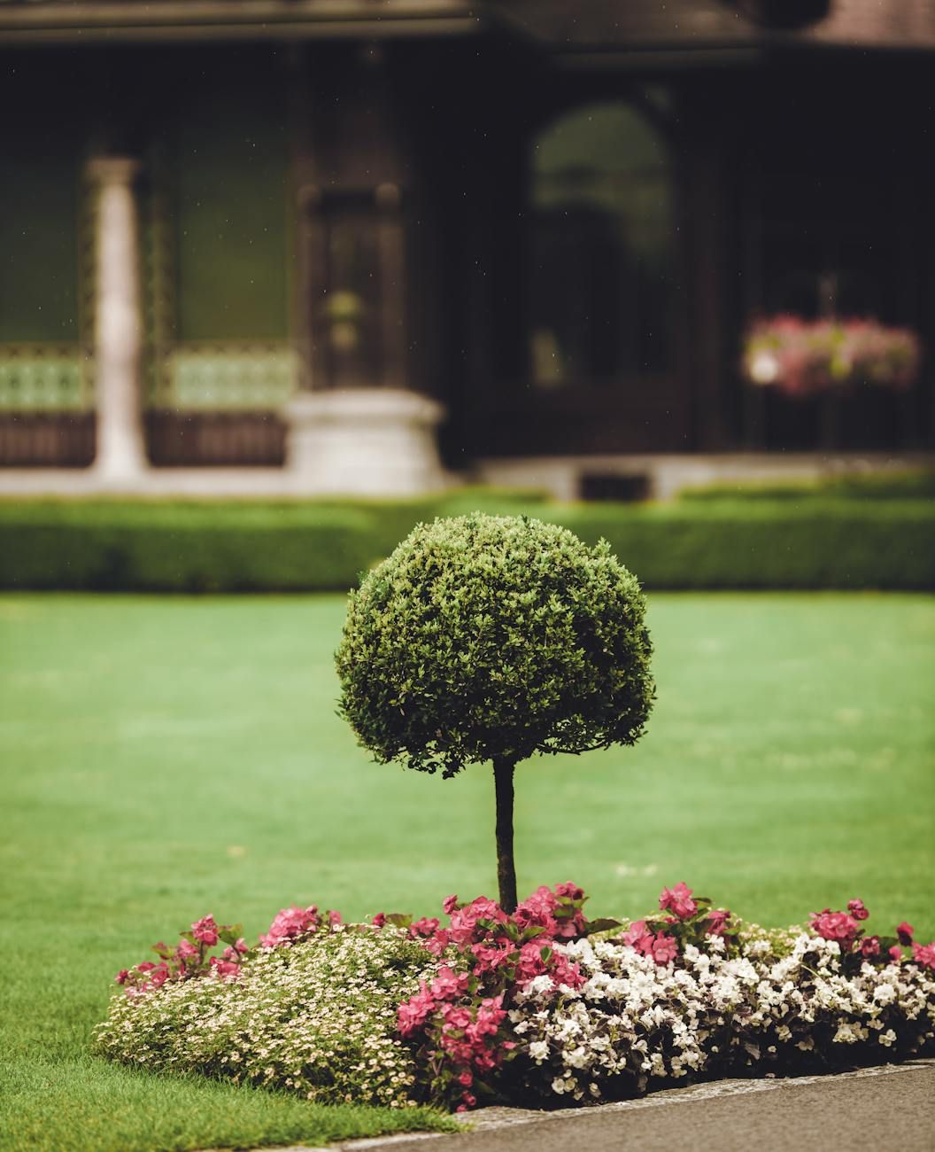 giardino, decoro, cortile, stile, elementi, design, paesaggistica, piante, decorazione, suggerimenti