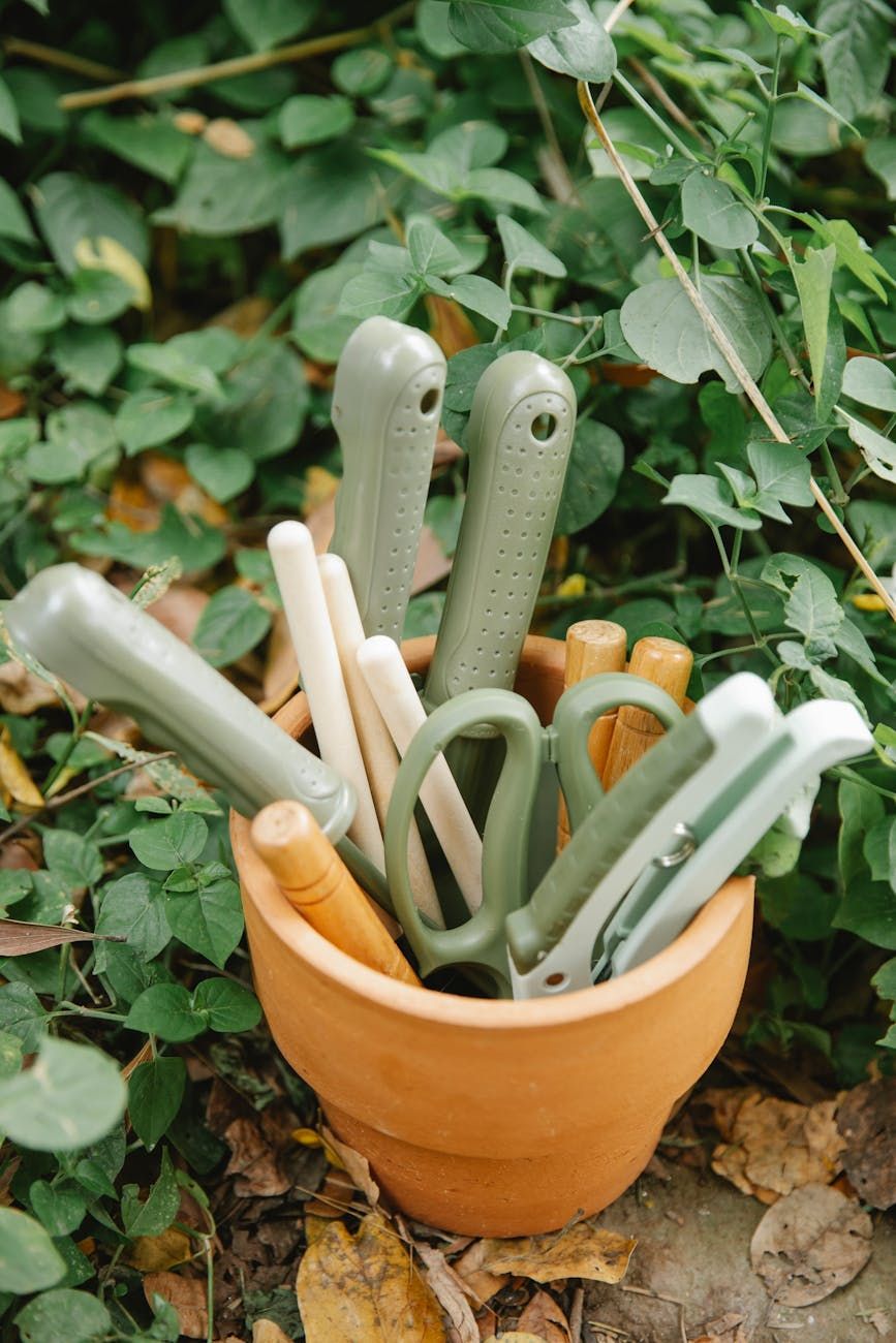 tuingereedschap, gereedschapsonderhoud, onderhoud, roestpreventie, slijpen, gereedschap reinigen, tuingereedschap, gereedschapsopslag, tuintips, levensduur verlengen