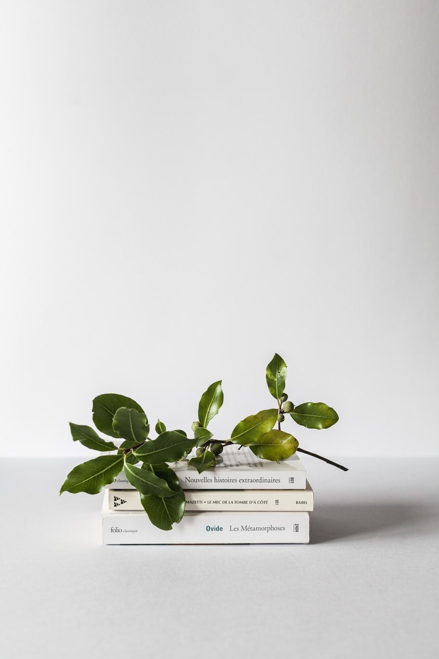 come scegliere un libro, suggerimenti per la selezione dei libri, suggerimenti di lettura, scegliere libri da leggere, migliori libri per principianti, libri per lettori esperti, abitudini di lettura, raccomandazioni di libri, come iniziare a leggere, scegliere il libro giusto