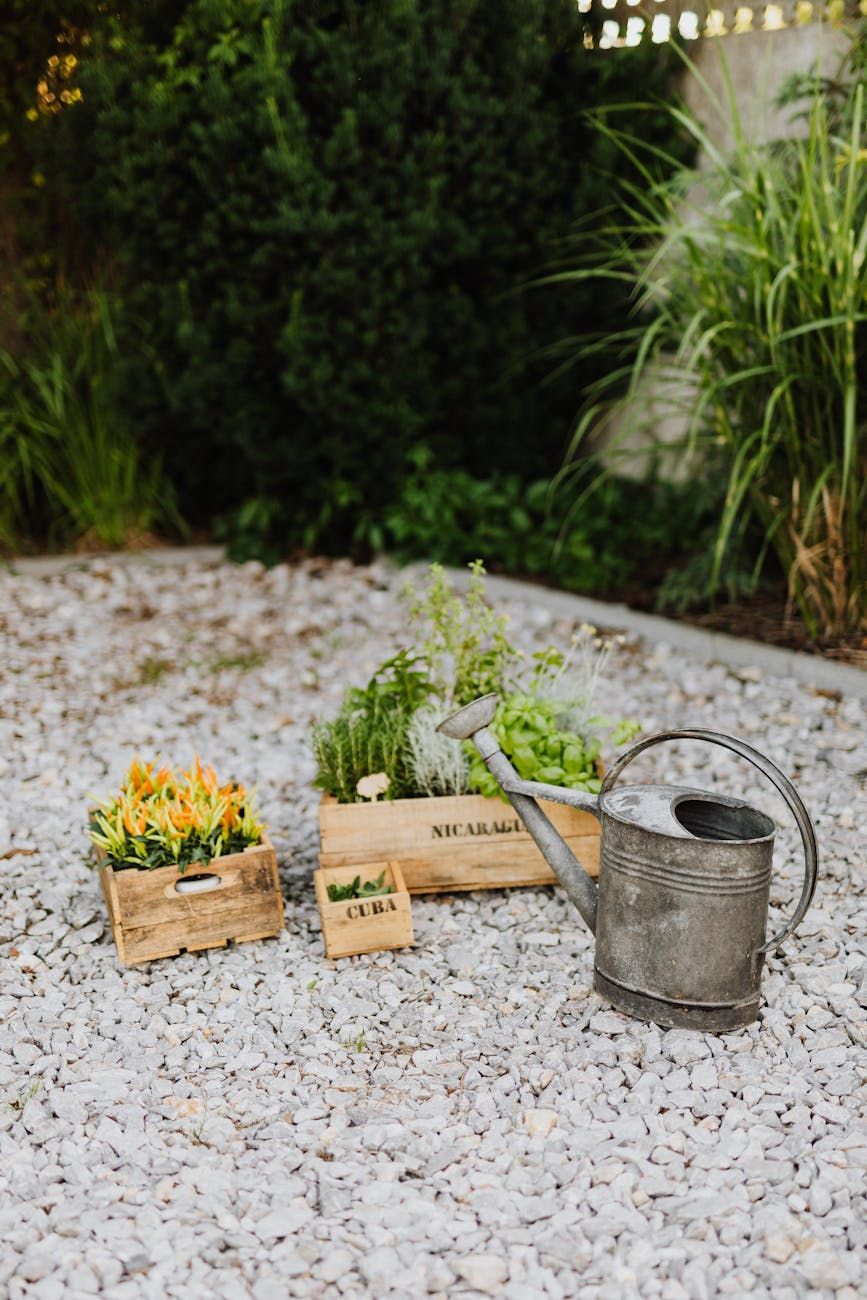 gemütlicher Garten, günstige Landschaftsgestaltung, Ideen für Anfänger, erschwingliche Landschaftsgestaltung, DIY-Garten, wirtschaftlicher Garten, Gartendekor, preiswerte Landschaftsgestaltung, einfache Tipps, grüne Ecke
