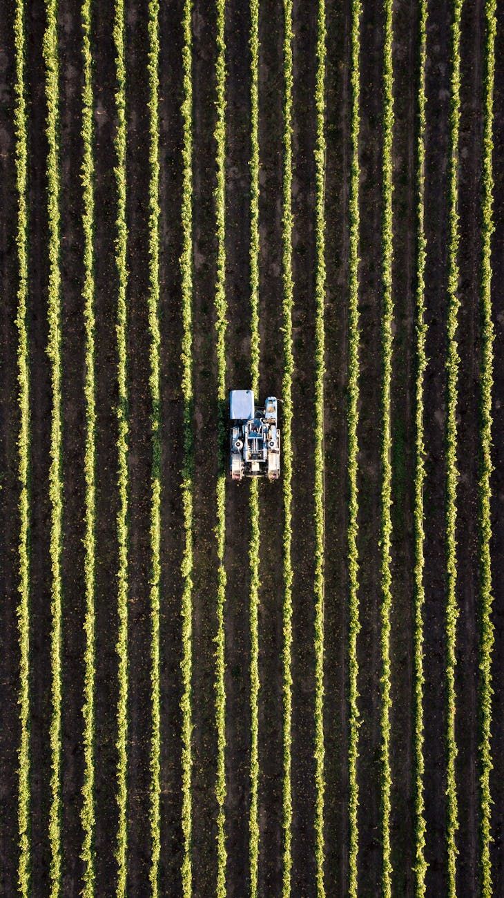Inteligencia Artificial, agricultura, innovación, mejora del rendimiento, agricultura inteligente, análisis de datos, agro tecnologías, robótica, agricultura de precisión, automatización