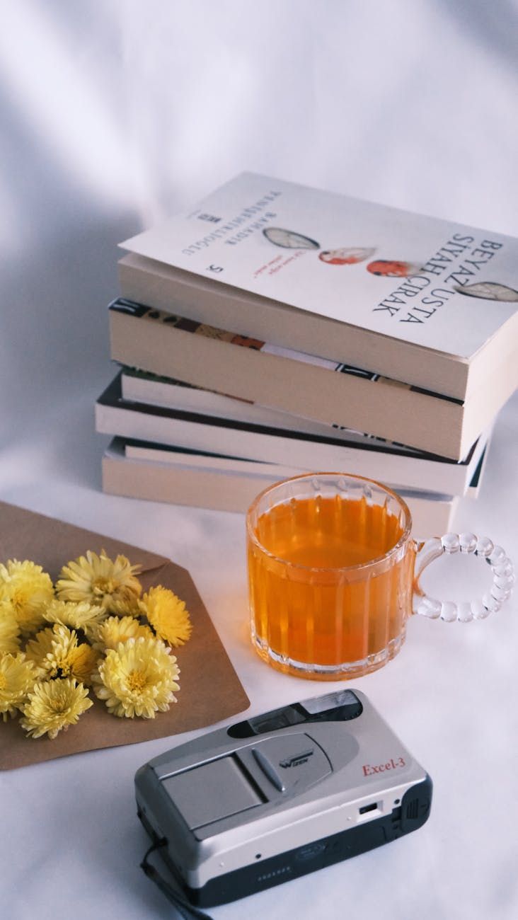 New literary releases, Recommended books, Contemporary prose, Bestsellers 2024, Literary premieres, Book reviews, Author new releases, Reading 2024, Book recommendations, Engaging plots