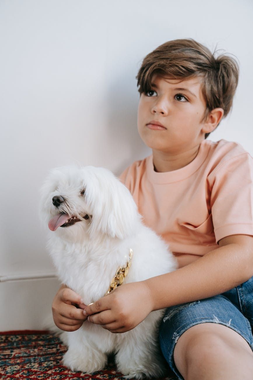 pets and children safety, child friendly home with pets, safe environment for kids and animals, introducing pets to children, pet safety tips for families, family pets and toddlers, safe play between pets and kids, responsible pet ownership with children, preventing pet accidents at home, creating harmony between pets and kids