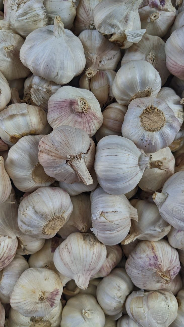 garlic planting, fall garlic, spring garlic, growing garlic, garlic harvest, garden tips, seed garlic, garlic bulbs, planting season, gardening guide