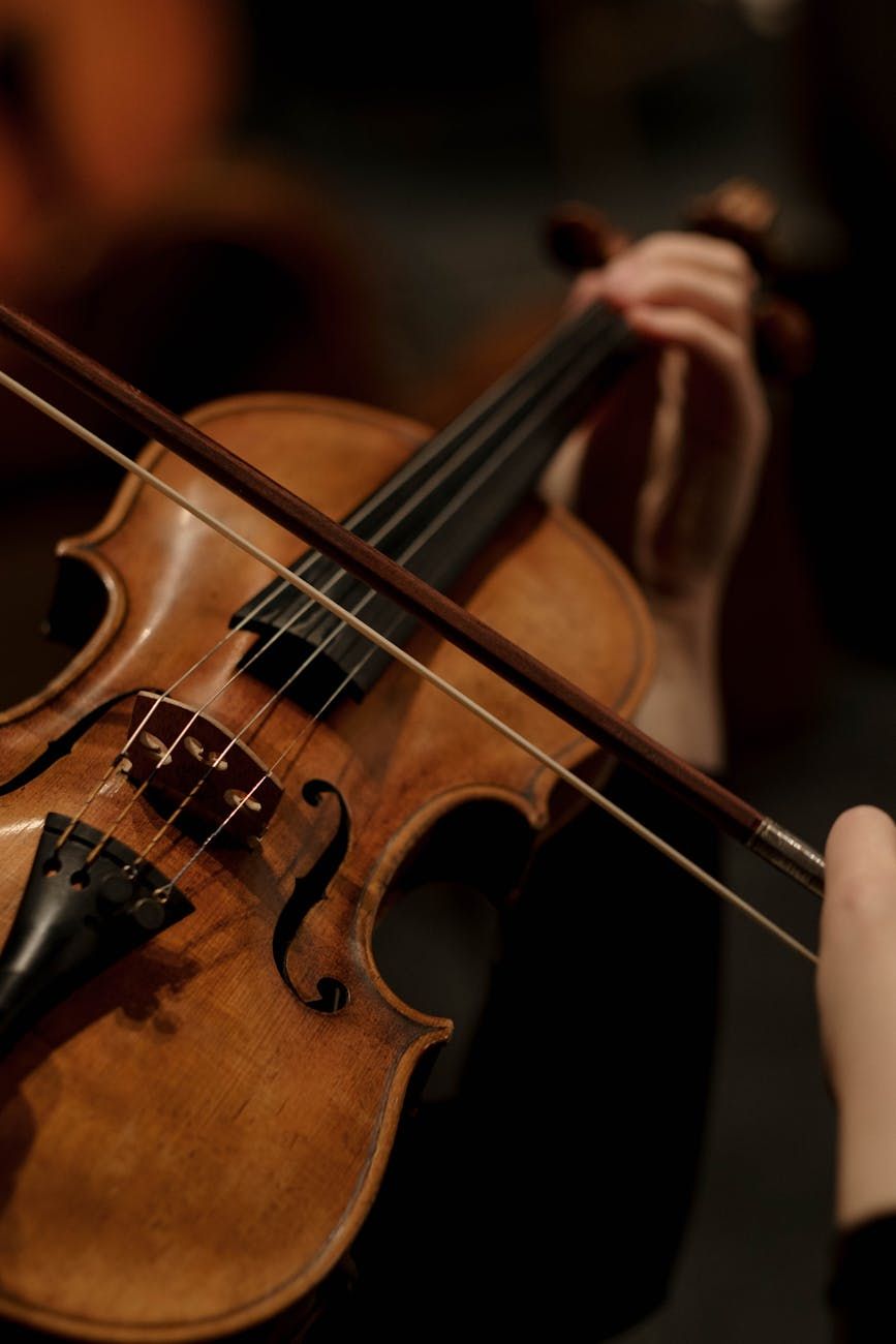 Selección de violín, técnica de arco, afinación de cuerdas, práctica de violín, teoría musical, posicionamiento de los dedos, calidad del sonido, mantenimiento del violín, expresión musical, técnicas avanzadas