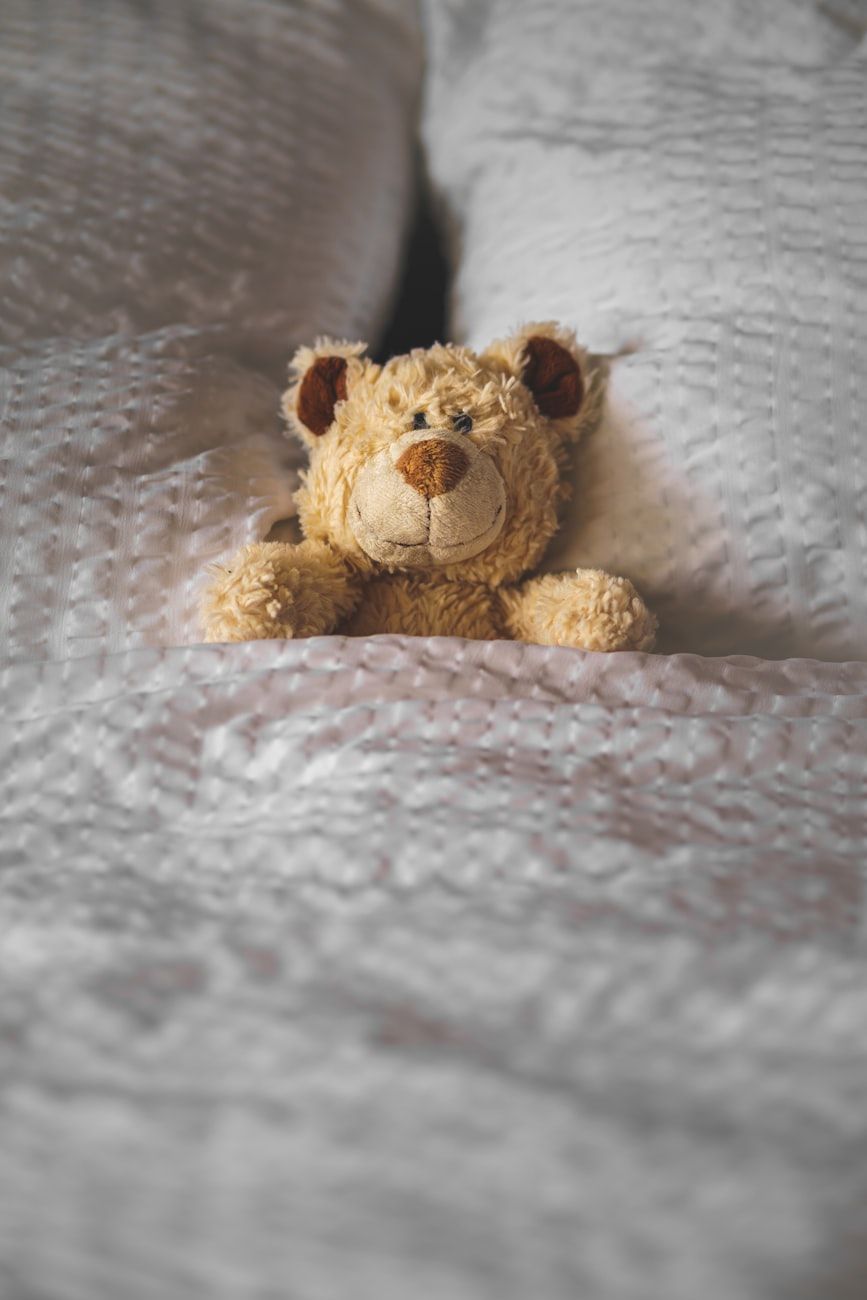 pluchen teddybeer, kinderspeelgoed, cadeau voor een kind, troost en veiligheid, zachte vriend, familiestuk, herinneringen uit de kindertijd, emotionele steun, ontwikkelingsspeelgoed, perfect cadeau