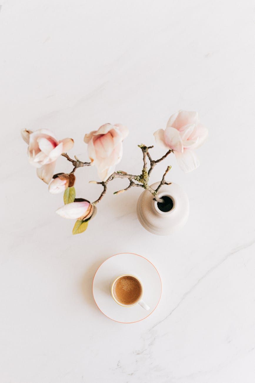café expreso, reglas de preparación, granos de café, técnica de preparación, café, ritual matutino, aroma, expreso perfecto, máquina de café, secretos del café.