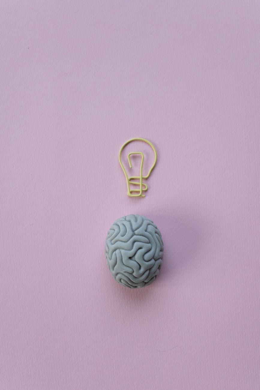 hjerne, intelligens, hukommelse, neuroner, synapser, læring, neuroplasticitet, kognitive funktioner, neurobiologi, hukommelse og perception.