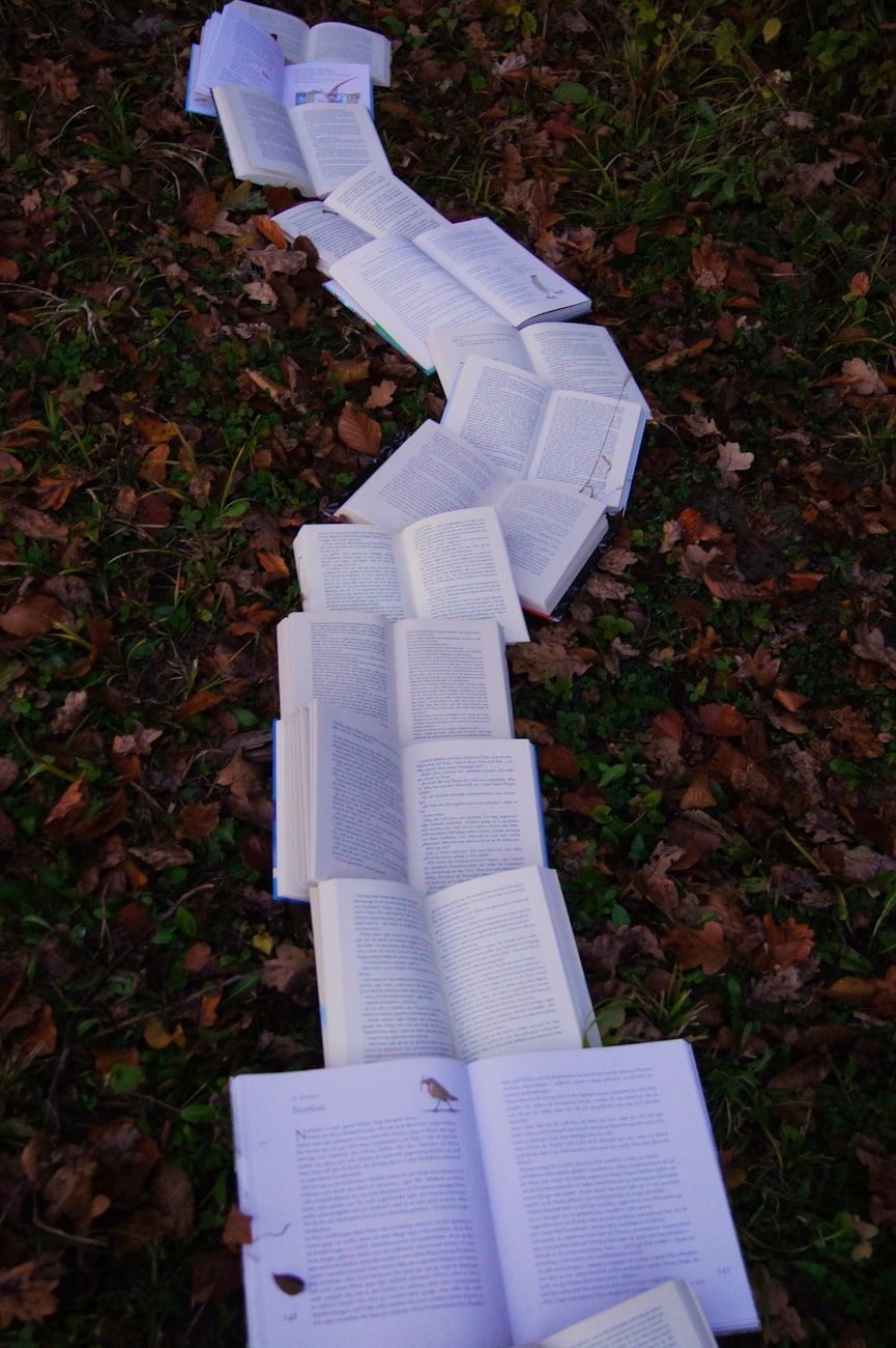 poder de las palabras, influencia de los libros en el pensamiento, cómo los libros moldean mentes, lectura y psicología, impacto de la literatura, palabras y mentalidad, desarrollo cognitivo lectura, influencia de los libros, lectura y pensamiento, literatura y mente