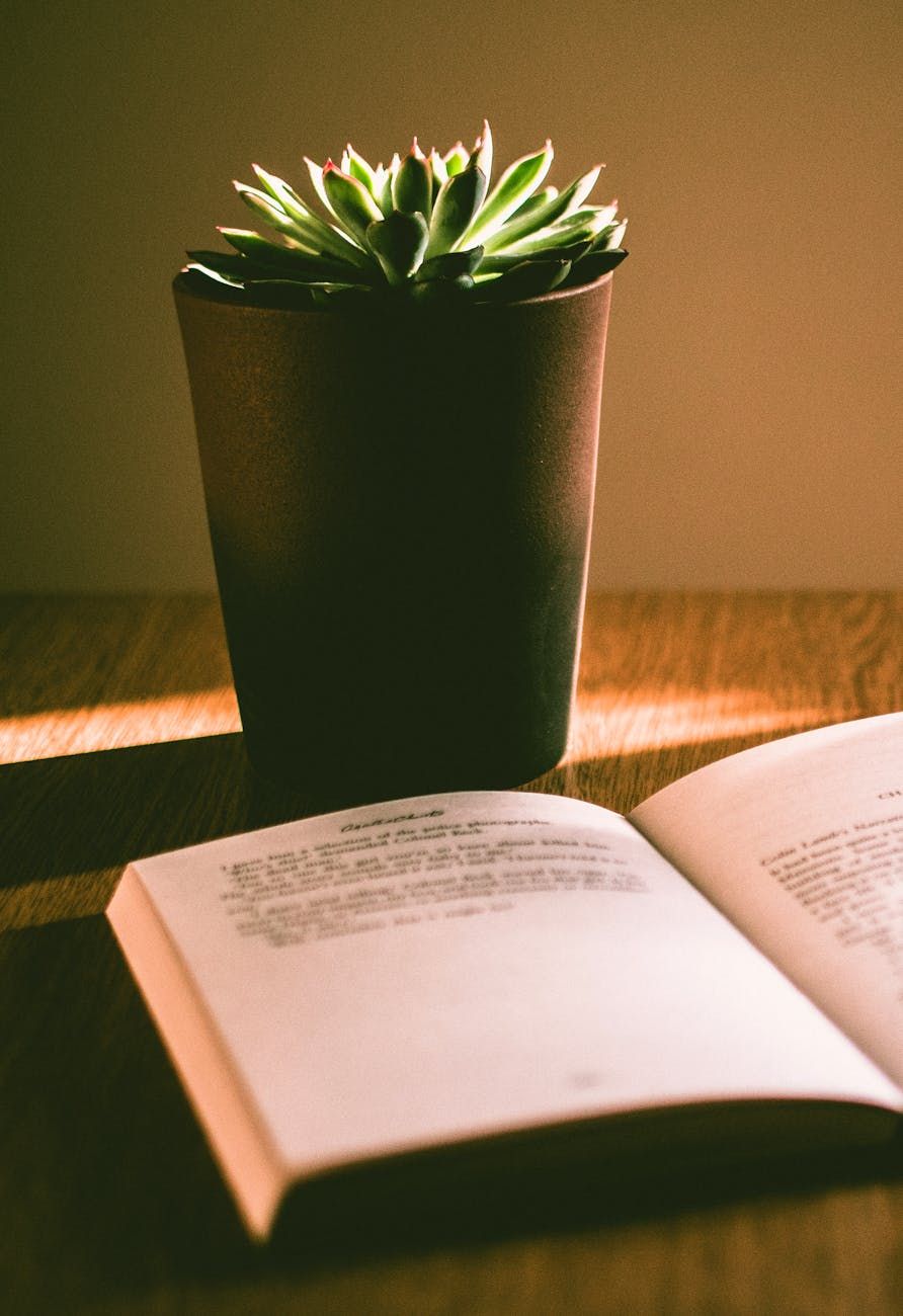 artificial intelligence, literature, future of books, automatic writing, digital evolution, AI in literature, changing reading, authors and technology, neural networks, creativity and art