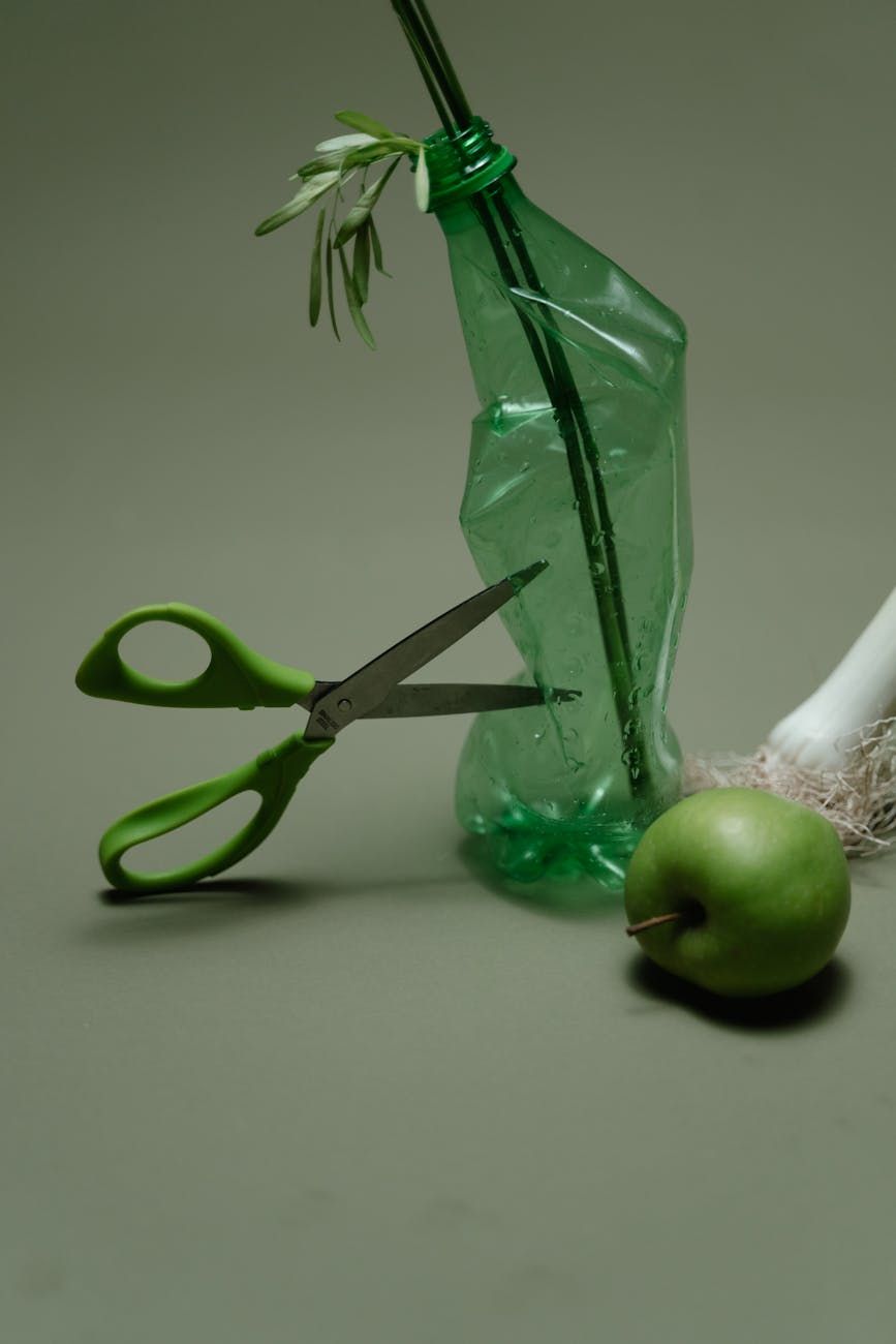 ideas de upcycling, reutilización creativa, arte sostenible, materiales reciclados, diseño ecológico, proyectos de bricolaje, estilo de vida sin residuos, decoración hecha a mano, creatividad verde, moda reutilizada