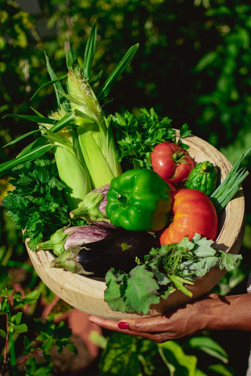 vegetable garden, homegrown greens, organic harvest, gardening tips, healthy lifestyle, fresh vegetables, planting secrets, sustainable gardening, seasonal crops, backyard farming